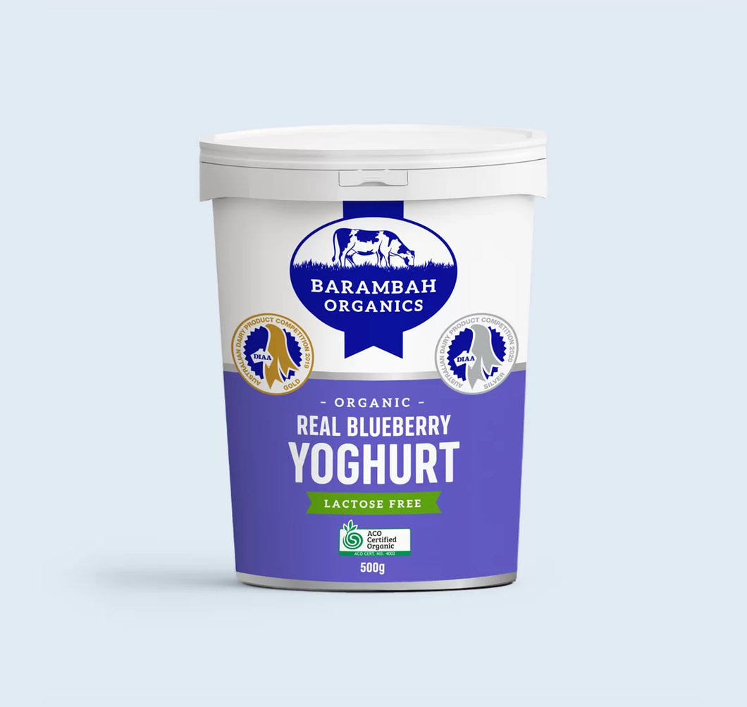 Barambah Organics Blueberry Yoghurt 200g