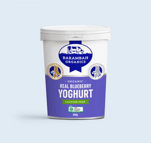 Barambah Organics Blueberry Yoghurt 500g